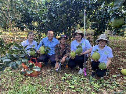 3 CÂY BƯỞI/1 TẤN QUẢ/NĂM: CHẾ PHẨM SINH HỌC HLC CHO VỤ BƯỞI BỘI THU