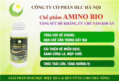 AMINO BIO-TĂNG SỨC ĐỀ KHÁNG HẠN CHẾ NẤM BỆNH