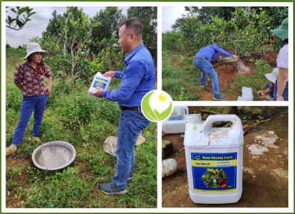 CẢI TẠO, HẠ PHÈN VÀ CÂN BẰNG PH ĐẤT THAY THẾ HOÀN TOÀN VÔI