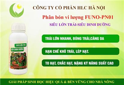 SIÊU DINH DƯỠNG, SIÊU LỚN TRÁI CHUYÊN CHO CÂY CÔNG NGHIỆP
