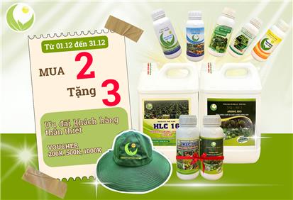 ​CUỐI NĂM RỘN RÀNG – HLC TRAO NGÀN ƯU ĐÃI VÀNG