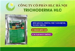 CHẾ PHẨM SINH HỌC TRICHODERMA HLC 500GR