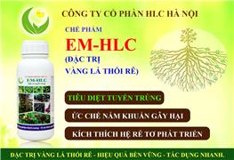 EM - HLC  (ĐẶC TRỊ VÀNG LÁ THỐI RỄ)