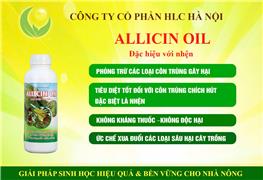 ALLICIN OIL ĐẶC HIỆU VỚI NHỆN 