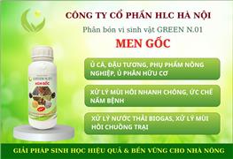 MEN GỐC GREEN N.01 CHUYÊN Ủ CÁ, ĐẬU TƯƠNG, Ủ PHÂN HỮU CƠ