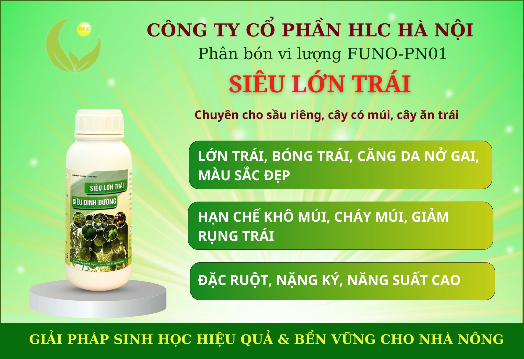 SIÊU DINH DƯỠNG, SIÊU LỚN TRÁI CHUYÊN CÂY ĂN TRÁI, CÂY CÓ MÚI