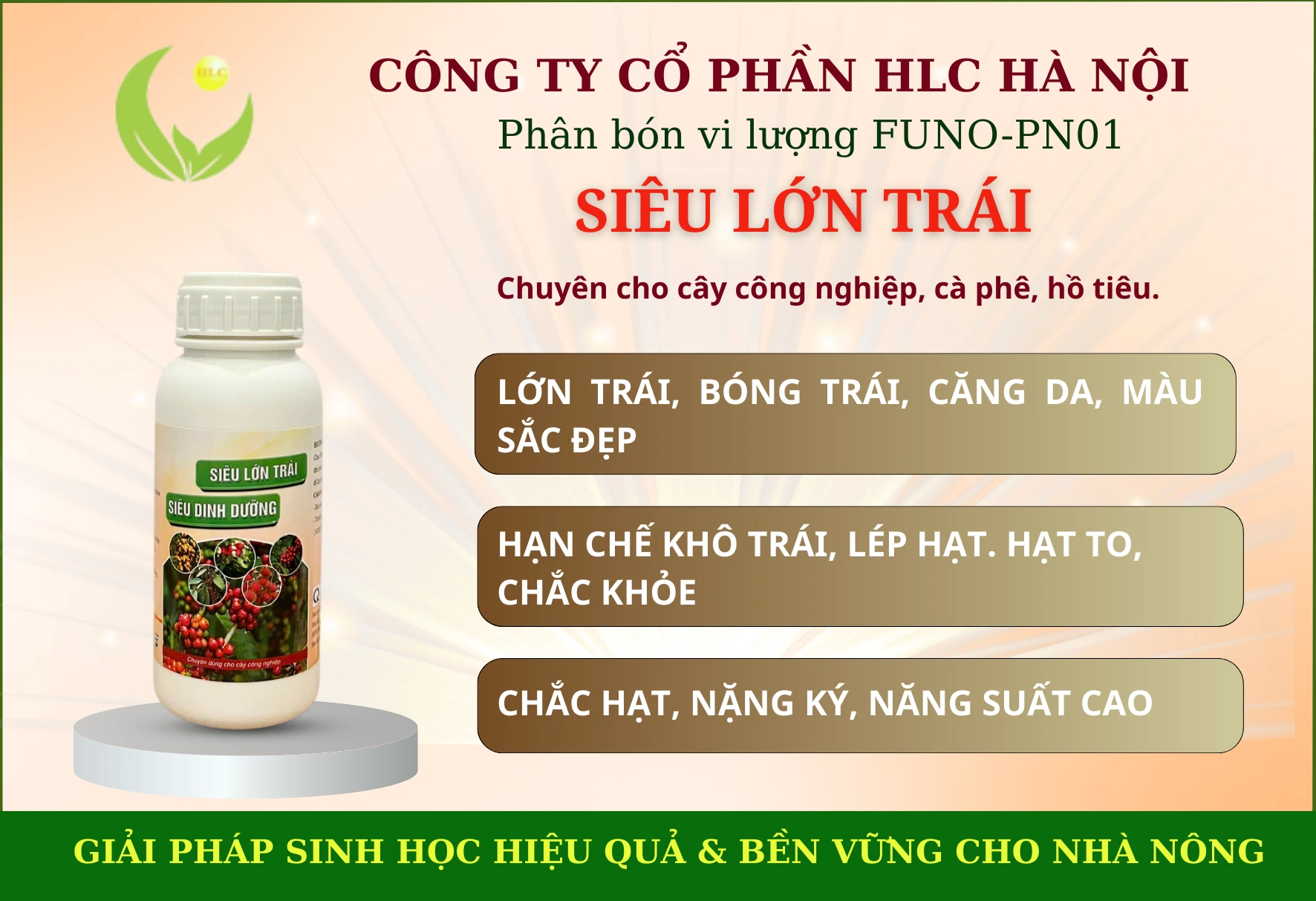 SIÊU DINH DƯỠNG, SIÊU LỚN TRÁI CHUYÊN CHO CÂY CÔNG NGHIỆP