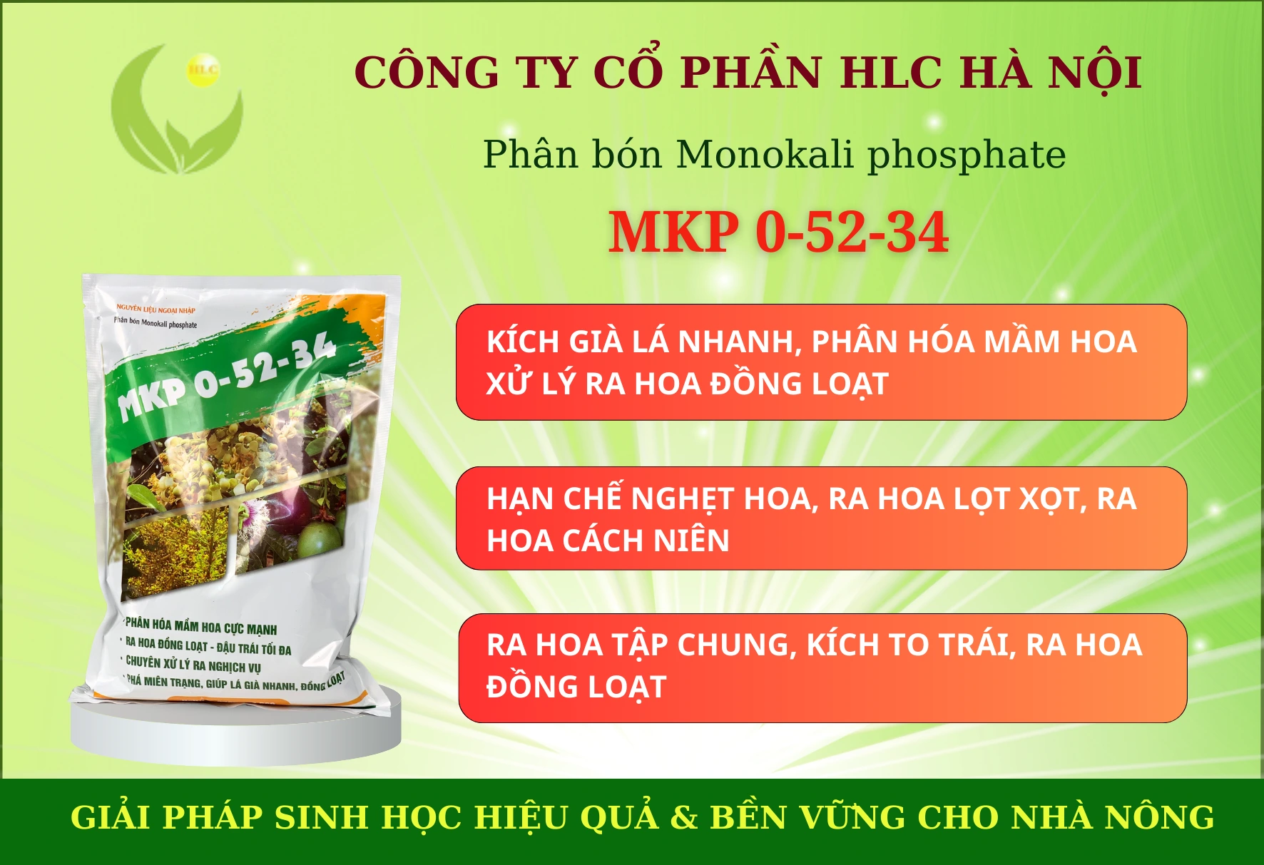 MKP (0-52-34) KÍCH GIÀ LÁ, PHÂN HÓA MẦM HOA 