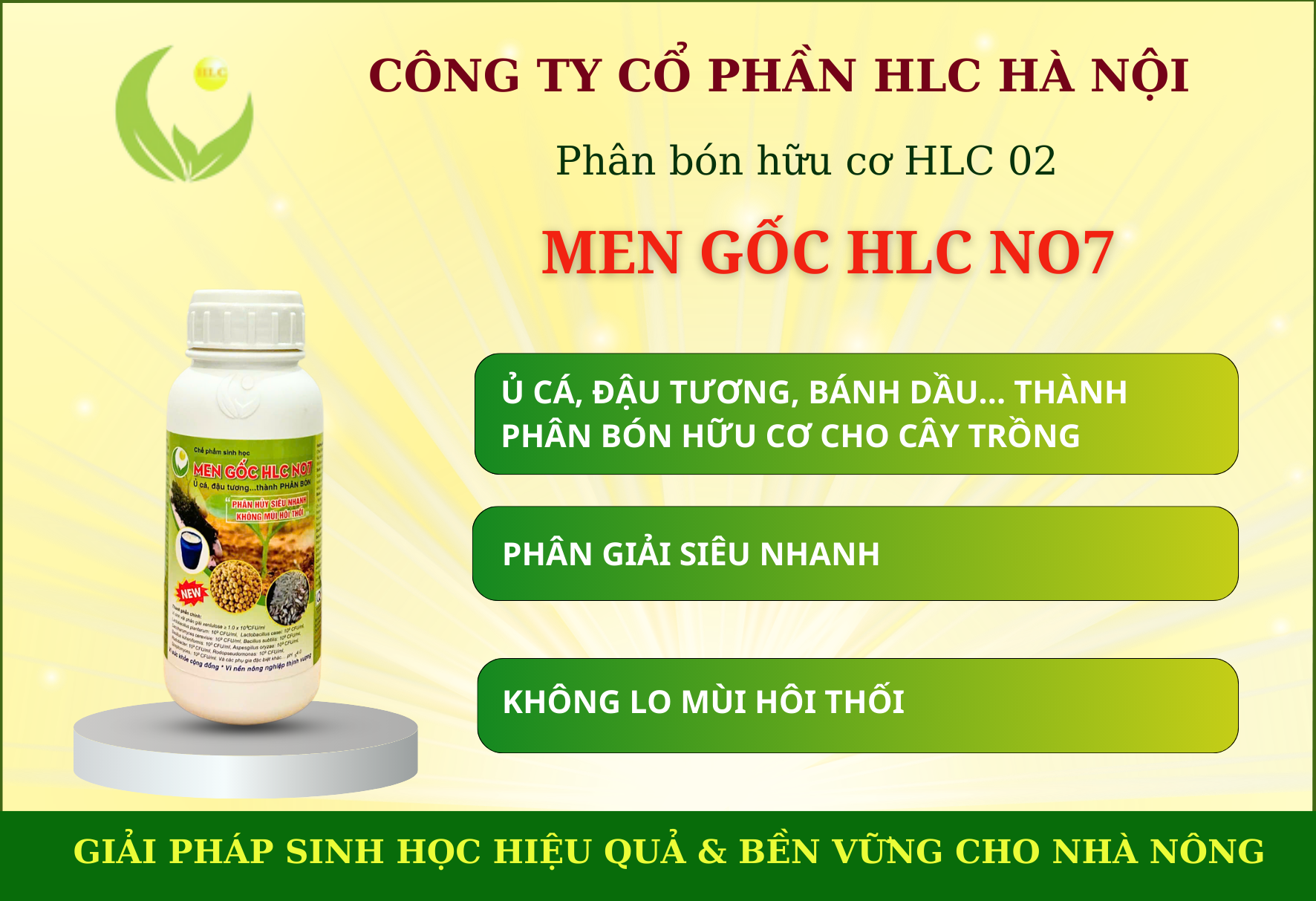 MEN GỐC HLC NO7 (CHUYÊN Ủ CÁ ĐẬU TƯƠNG)