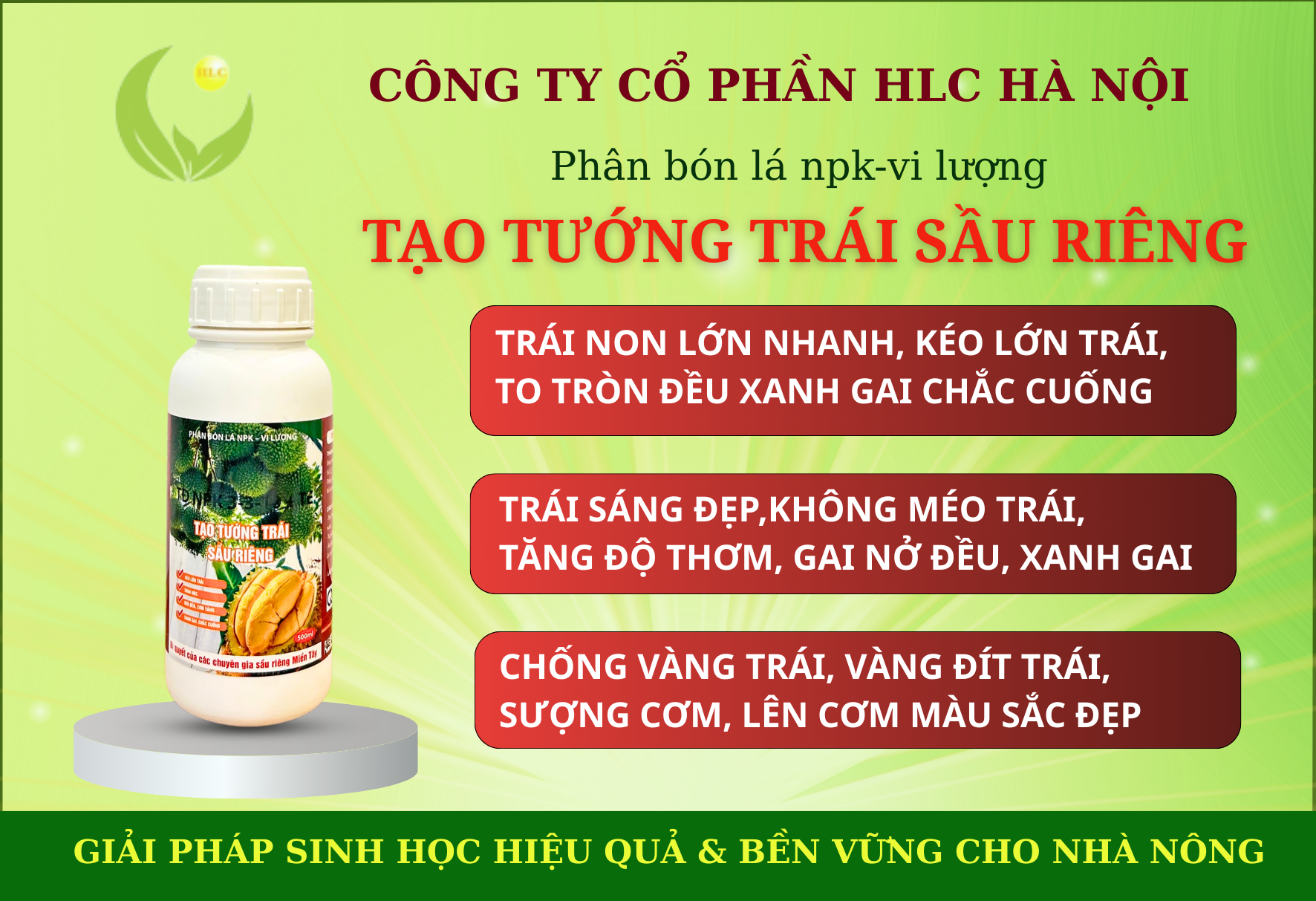 TẠO TƯỚNG TRÁI, NỞ HỘC SẦU RIÊNG 