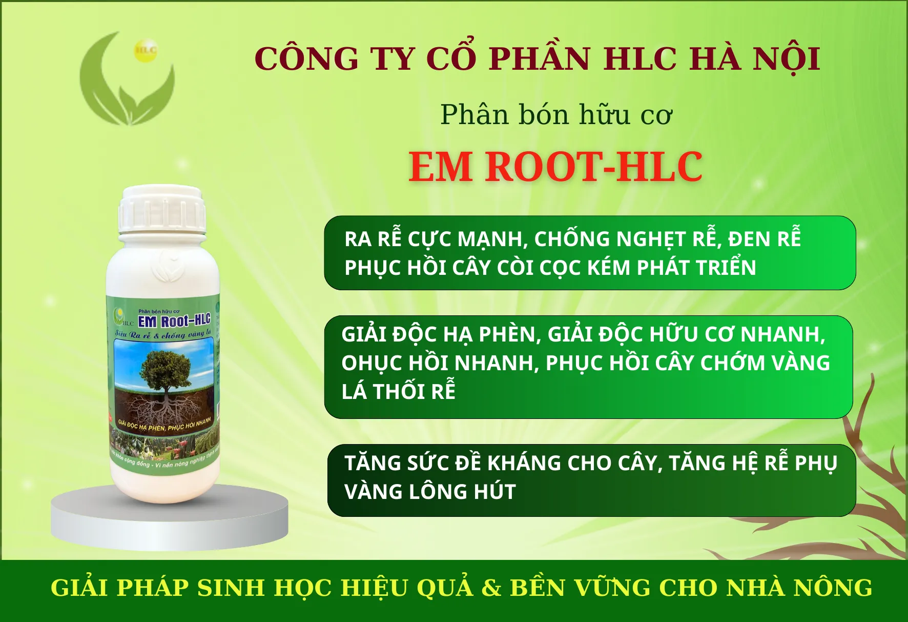 SIÊU RA RỄ EM ROOT-HLC
